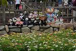 Dcim12193/DSC_0540