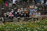 Dcim12193/DSC_0541
