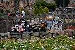 Dcim12193/DSC_0544