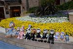 Dcim12194/DSC_0607