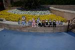 Dcim12194/DSC_0617