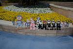Dcim12194/DSC_0619