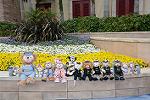 Dcim12194/DSC_0621