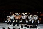 Dcim12196/DSC_0989