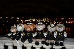 Dcim12196/DSC_0991