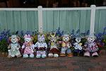 Dcim12199/DSC_1458