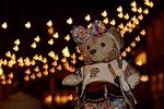 Dcim12202/DSC_1829