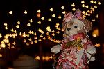 Dcim12202/DSC_1858