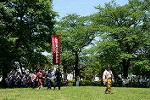 Dcim12209/DSC_2731