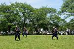 Dcim12210/DSC_2866