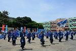 Dcim12211/DSC_2970