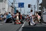 Dcim12215/DSC_3467