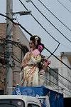 Dcim12215/DSC_3542