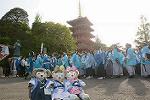 Dcim12222/DSC_4374