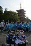 Dcim12222/DSC_4380