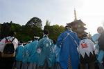 Dcim12222/DSC_4381