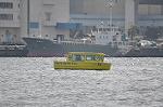 Dcim12223/DSC_0943
