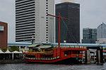 Dcim12224/DSC_4511