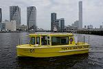 Dcim12224/DSC_4551