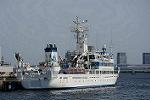 Dcim12228/DSC_5176