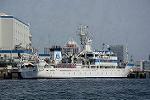Dcim12228/DSC_5181