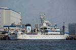 Dcim12228/DSC_5183