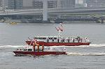 Dcim12229/DSC_1104