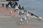 Dcim12231/DSC_1302