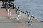 Dcim12231/DSC_1313