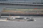 Dcim12231/DSC_1373