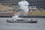 Dcim12231/DSC_1377