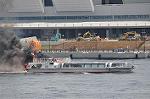 Dcim12231/DSC_1382