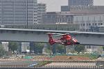 Dcim12231/DSC_1408