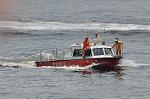 Dcim12231/DSC_1440