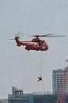 Dcim12232/DSC_1492