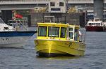 Dcim12232/DSC_1559