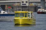 Dcim12232/DSC_1561