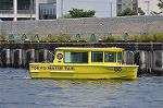 Dcim12232/DSC_1571