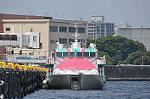 Dcim12232/DSC_1591