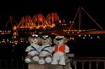 Dcim12233/DSC_1708