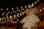 Dcim12233/DSC_1728