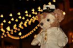 Dcim12233/DSC_1763