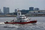 Dcim12234/DSC_5298