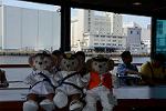 Dcim12237/DSC_5745
