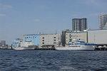 Dcim12237/DSC_5777