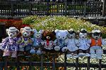 Dcim12238/DSC_5862