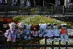 Dcim12238/DSC_5871