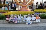 Dcim12239/DSC_5976