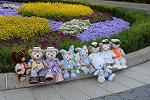 Dcim12239/DSC_5977
