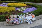 Dcim12239/DSC_5978